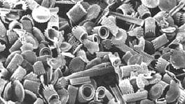 Eaton Diatomaceous Earth